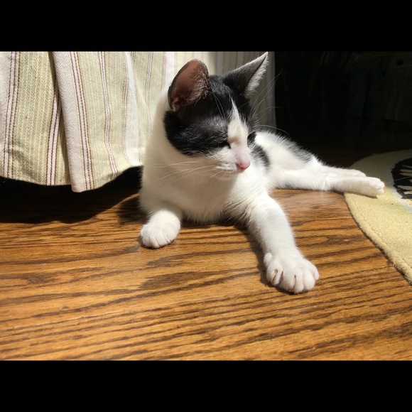 Meet your Posher, Megan - Picture 1 of 1